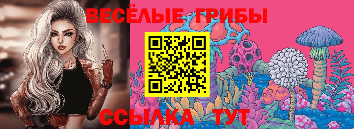 Псилоцибиновые грибы GOLDEN TEACHER Усть-Илимск